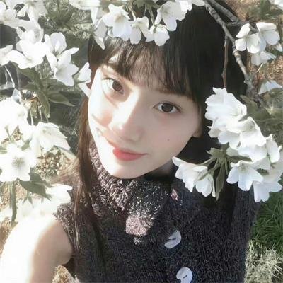 大唐重案组